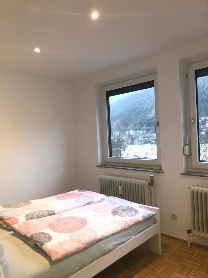 Panorama Grenzberg Apartment บาดกัสไตน์ ภายนอก รูปภาพ